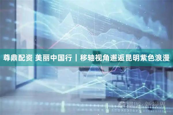 尊鼎配资 美丽中国行｜移轴视角邂逅昆明紫色浪漫